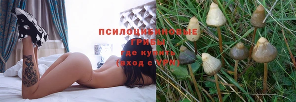 прущий лед Алексин