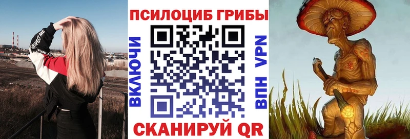 Галлюциногенные грибы Magic Shrooms  купить наркотики сайты  Кола 